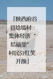 陕西府谷县埝墕村：集体经济“结硕果” 村民分红笑开颜