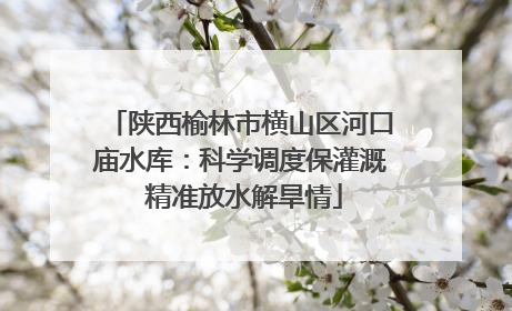 陕西榆林市横山区河口庙水库：科学调度保灌溉 精准放水解旱情