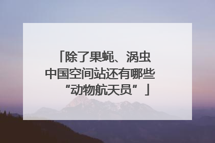 除了果蝇、涡虫 中国空间站还有哪些“动物航天员”