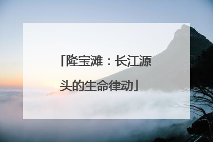 隆宝滩：长江源头的生命律动