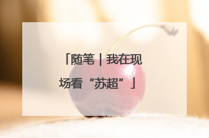 随笔｜我在现场看“苏超”