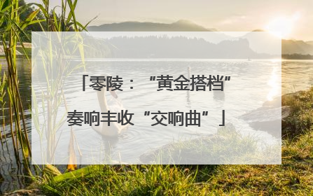 零陵：“黄金搭档”奏响丰收“交响曲”