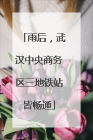 雨后，武汉中央商务区三地铁站皆畅通