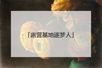 露营基地逐梦人