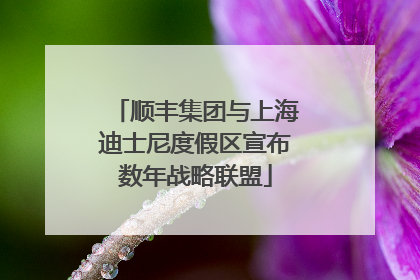 顺丰集团与上海迪士尼度假区宣布数年战略联盟