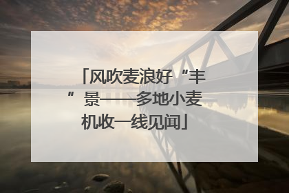 风吹麦浪好“丰”景——多地小麦机收一线见闻