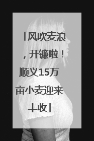 风吹麦浪，开镰啦！顺义15万亩小麦迎来丰收