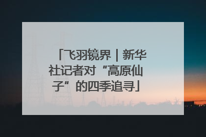 飞羽镜界｜新华社记者对“高原仙子”的四季追寻