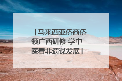 马来西亚侨商侨领广西研修 学中医看非遗谋发展