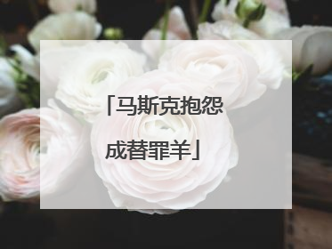 马斯克抱怨成替罪羊