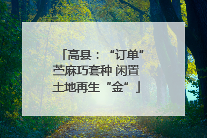 高县：“订单”苎麻巧套种 闲置土地再生“金”