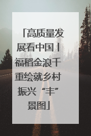 高质量发展看中国丨福稻金浪千重绘就乡村振兴“丰”景图
