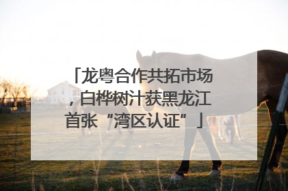 龙粤合作共拓市场，白桦树汁获黑龙江首张“湾区认证”