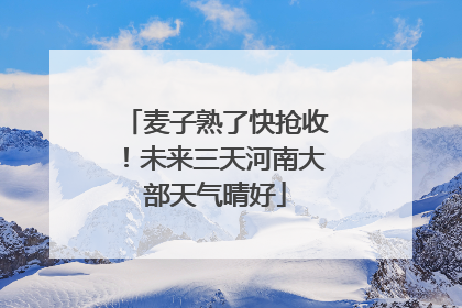 麦子熟了快抢收！未来三天河南大部天气晴好