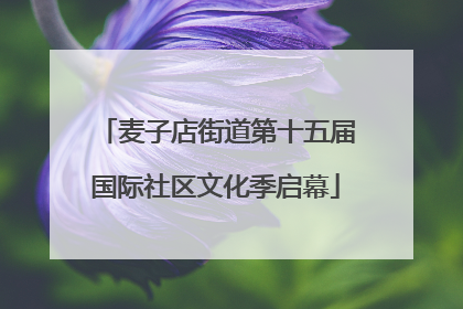 麦子店街道第十五届国际社区文化季启幕