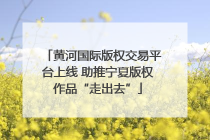 黄河国际版权交易平台上线 助推宁夏版权作品“走出去”