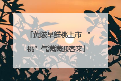黄陂早鲜桃上市 “桃”气满满迎客来