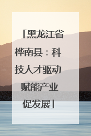 黑龙江省桦南县：科技人才驱动 赋能产业促发展