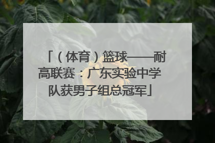 （体育）篮球——耐高联赛：广东实验中学队获男子组总冠军