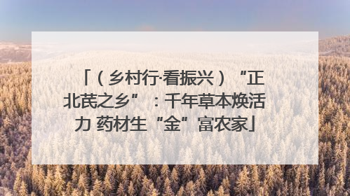 （乡村行·看振兴）“正北芪之乡”：千年草本焕活力 药材生“金”富农家
