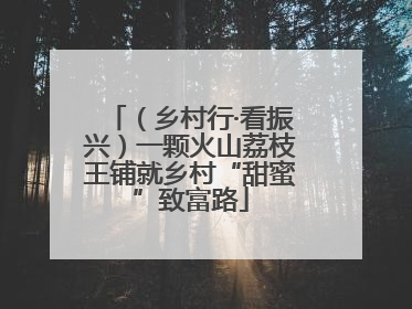 （乡村行·看振兴）一颗火山荔枝王铺就乡村“甜蜜”致富路