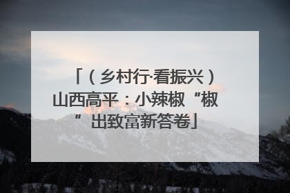 （乡村行·看振兴）山西高平：小辣椒“椒”出致富新答卷