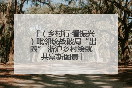 （乡村行·看振兴）毗邻统战破局“出圈” 浙沪乡村绘就共富新图景