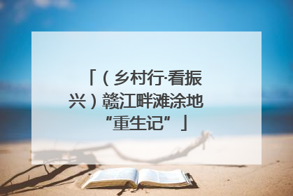 （乡村行·看振兴）赣江畔滩涂地“重生记”