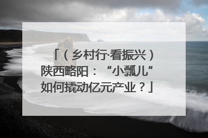 （乡村行·看振兴）陕西略阳：“小瓢儿”如何撬动亿元产业？