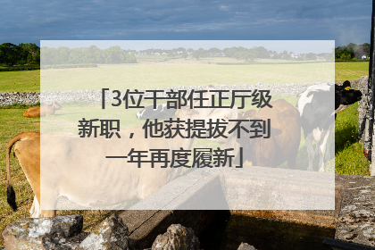 3位干部任正厅级新职，他获提拔不到一年再度履新