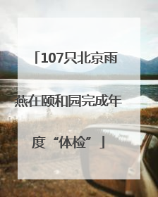 107只北京雨燕在颐和园完成年度“体检”