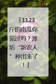 1123斤的南瓜你见过吗？潍坊“新农人”种出来了！