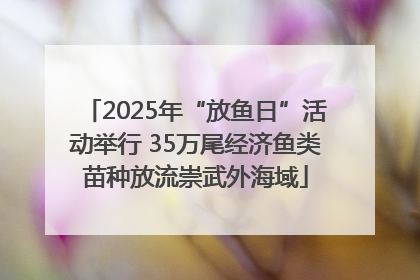 2025年“放鱼日”活动举行 35万尾经济鱼类苗种放流崇武外海域