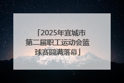 2025年宜城市第二届职工运动会篮球赛圆满落幕