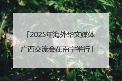 2025年海外华文媒体广西交流会在南宁举行