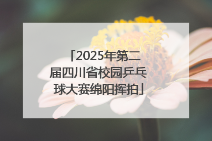 2025年第二届四川省校园乒乓球大赛绵阳挥拍
