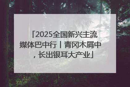2025全国新兴主流媒体巴中行丨青冈木屑中，长出银耳大产业