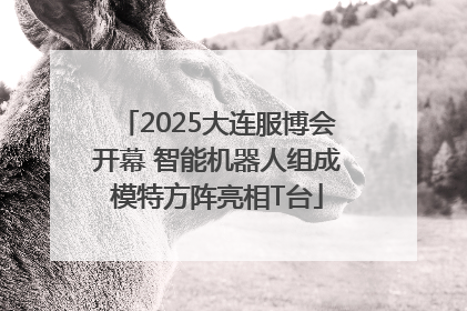 2025大连服博会开幕 智能机器人组成模特方阵亮相T台