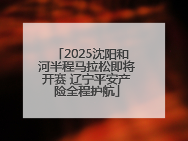 2025沈阳和河半程马拉松即将开赛 辽宁平安产险全程护航