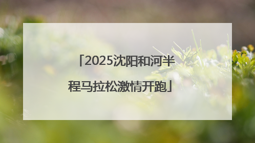 2025沈阳和河半程马拉松激情开跑