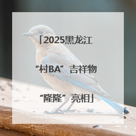 2025黑龙江“村BA”吉祥物“隆隆”亮相