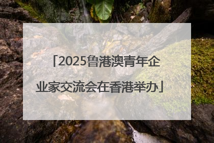 2025鲁港澳青年企业家交流会在香港举办