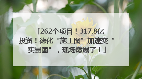 262个项目！317.8亿投资！德化“施工图”加速变“实景图”，现场燃爆了！