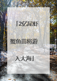 2亿尾虾蟹鱼苗将游入大海