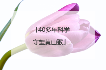 40多年科学守望黄山猴