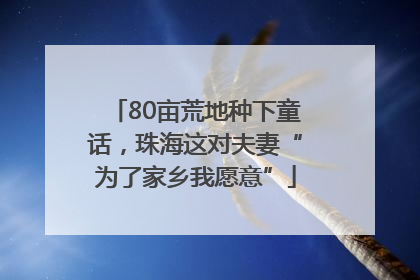 80亩荒地种下童话，珠海这对夫妻“为了家乡我愿意”