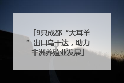 9只成都“大耳羊”出口乌干达，助力非洲养殖业发展