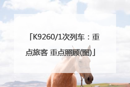 K9260/1次列车：重点旅客 重点照顾(图)